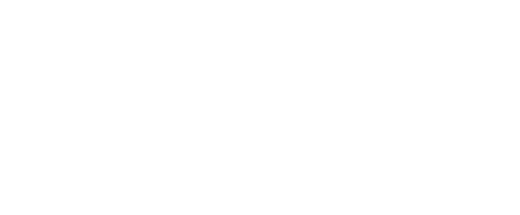 Logo Safe Share blanc